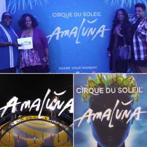 Cirque Du Soleil - Amaluna