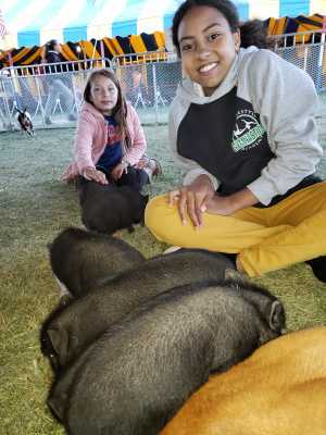 San Bernardino County Fair Memorial Day Event - Monday Only