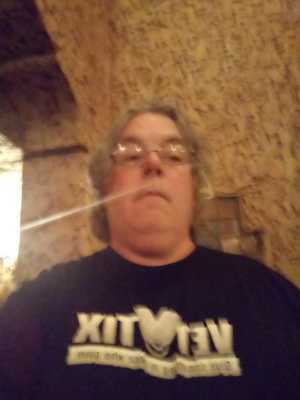 Tribute Band Yacht Rock Revue