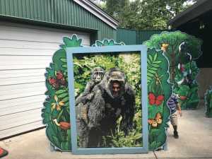 Todd attended Philadelphia Zoo - * See Notes on Aug 16th 2019 via VetTix 