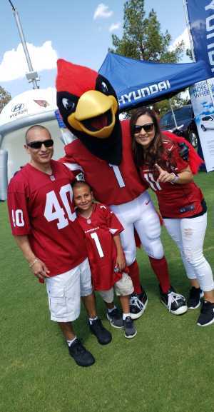 Arizona Cardinals vs. Detroit Lions - NFL