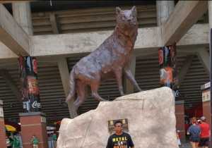 North Carolina State University vs. Western Carolina - NCAA Football