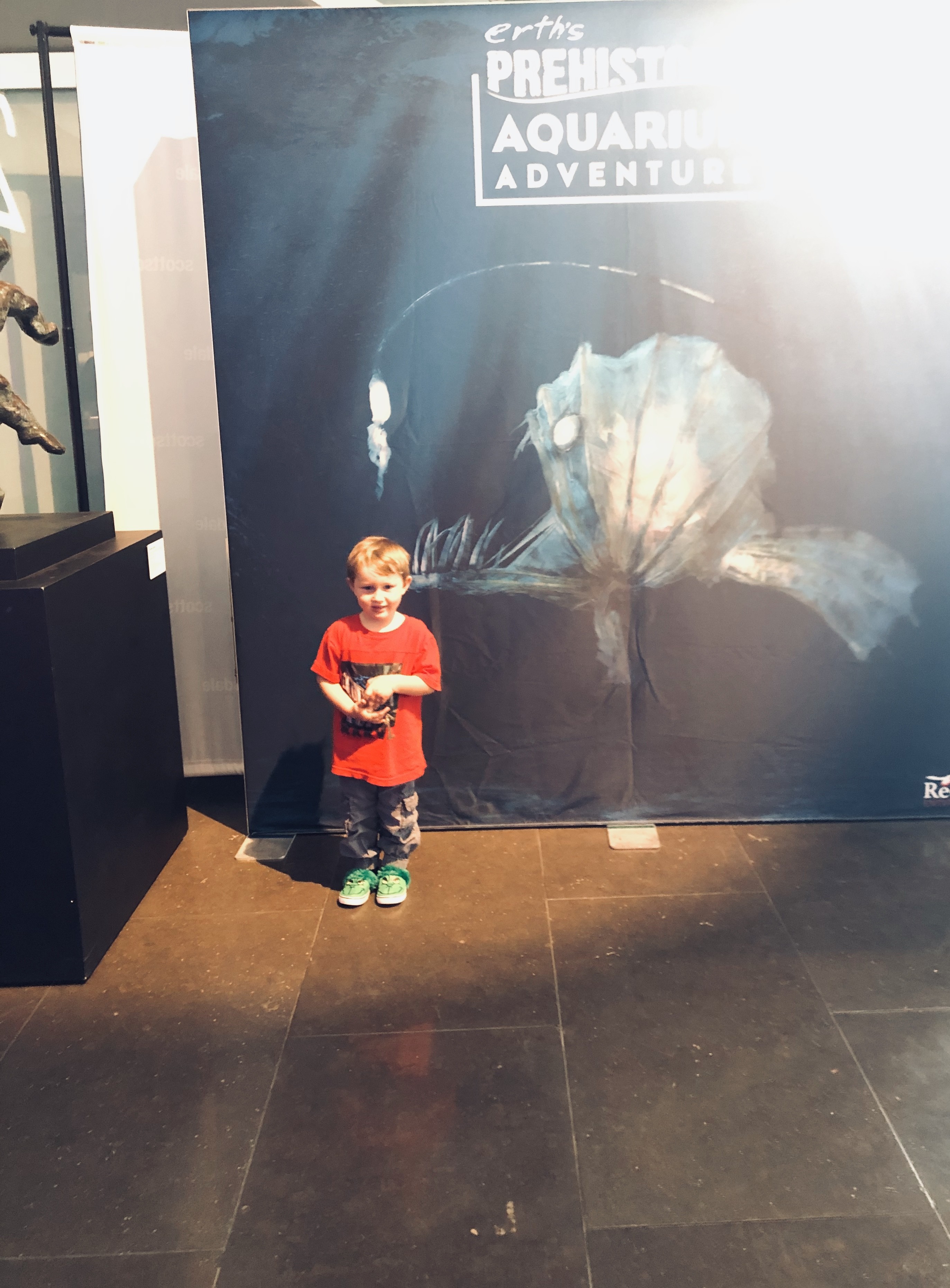 Erth's Prehistoric Aquarium Adventure