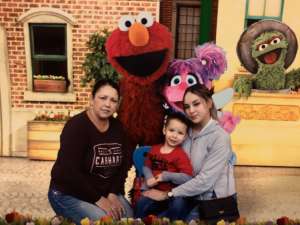 Sesame Street Live! Let's Party!