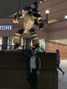 Anaheim Ducks vs. Washington Capitals - NHL