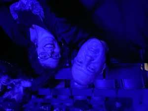 Kiss: End of the Road World Tour