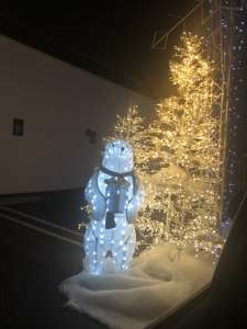 Bosco Christmas Lights Drive-thru