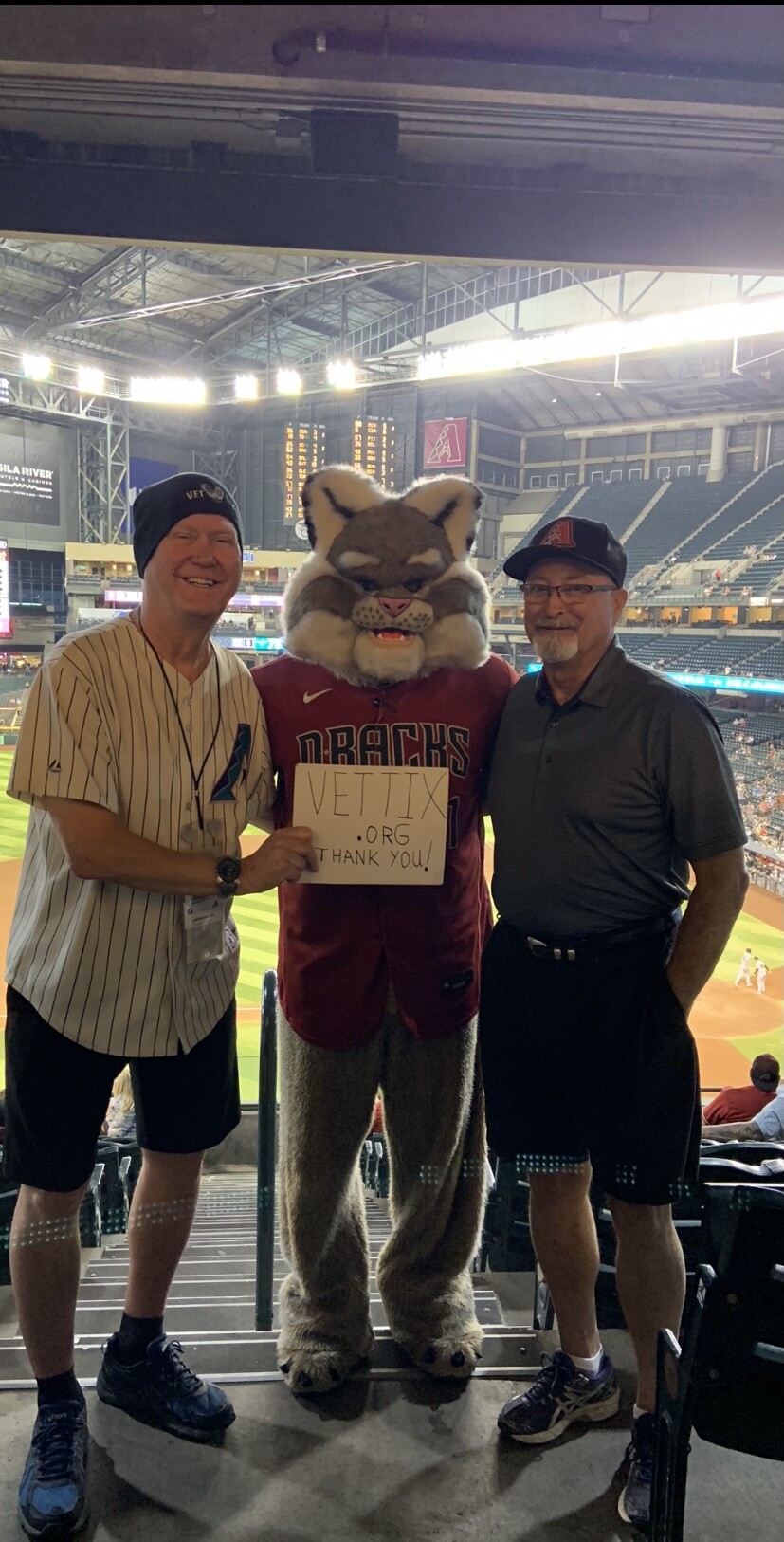 What Is the Diamondbacks Mascot? A Dive into the World of Baxter the Bobcat