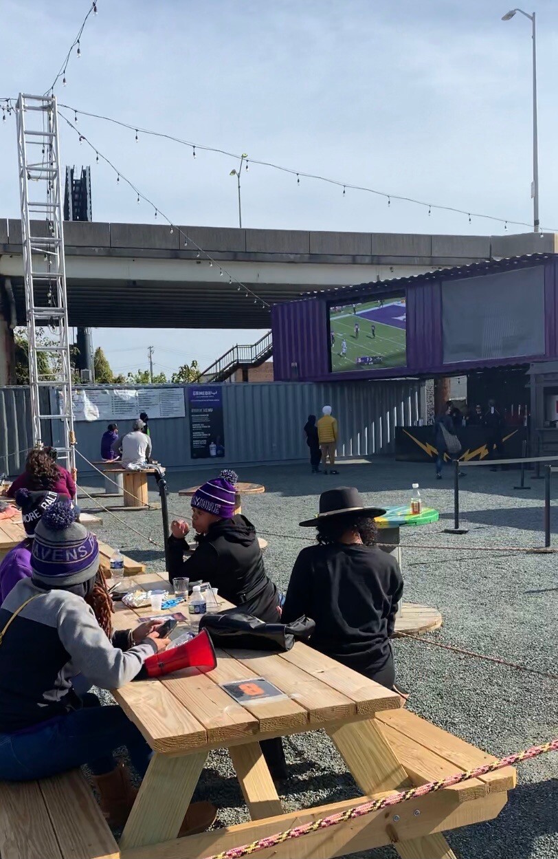 Baltimore Ravens Picnic Table