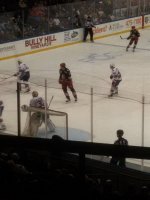 Rochester Americans vs. Grand Rapids Griffins - AHL - Hockey - Friday