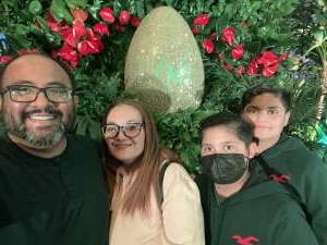 Cirque Du Soleil: Ovo