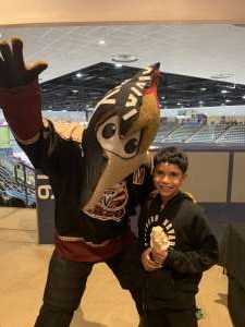Tucson Roadrunners - AHL vs Rockford IceHogs	