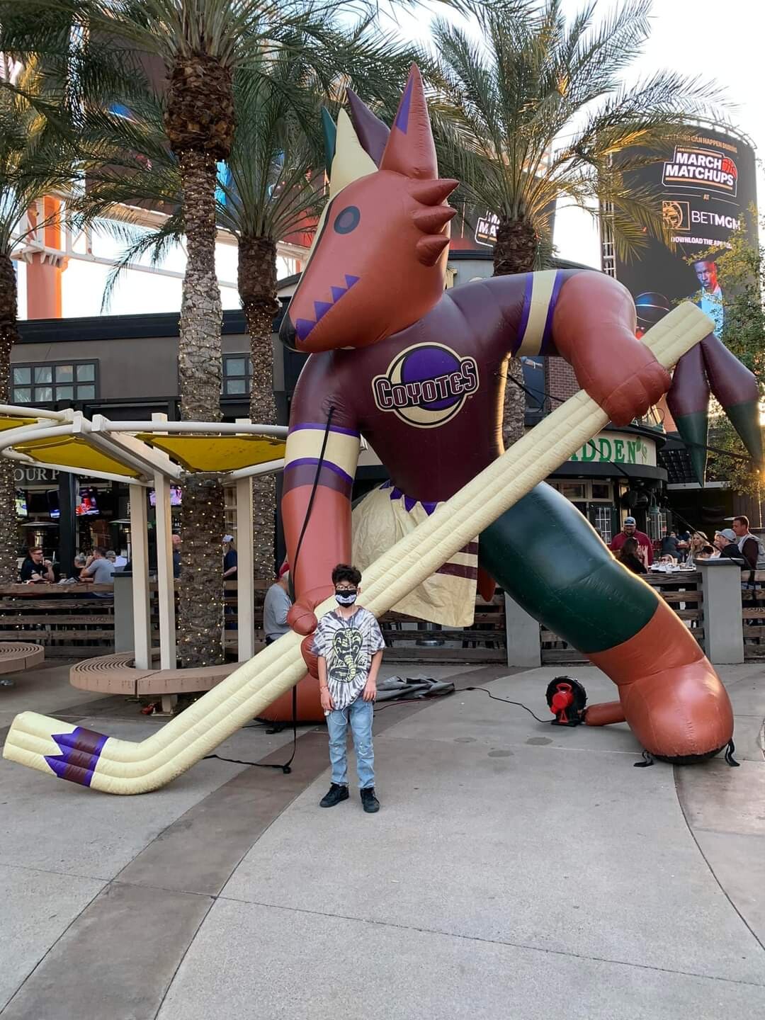 Arizona Coyotes - NHL vs Anaheim Ducks