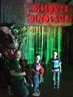 Discover the Dinosaurs - Saturday