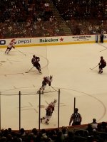 Arizona Coyotes vs. Calgary Flames - NHL