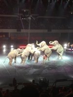 Ringling Bros. and Barnum and Bailey Presents Legends