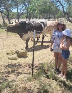 Salute Our Heroes - Wine Tasting & Working Farm Tour