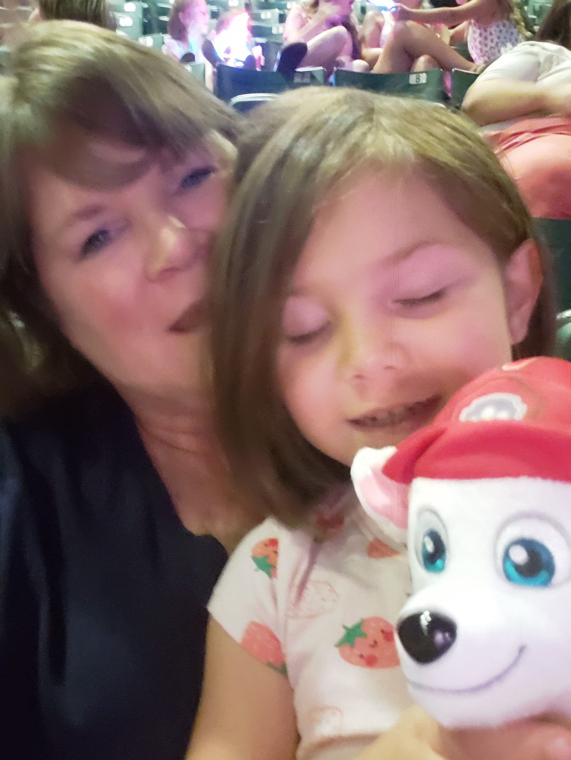 Paw Patrol Live! The Great Pirate Adventure