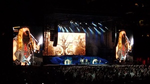 Guns N' Roses: Not in This Lifetime