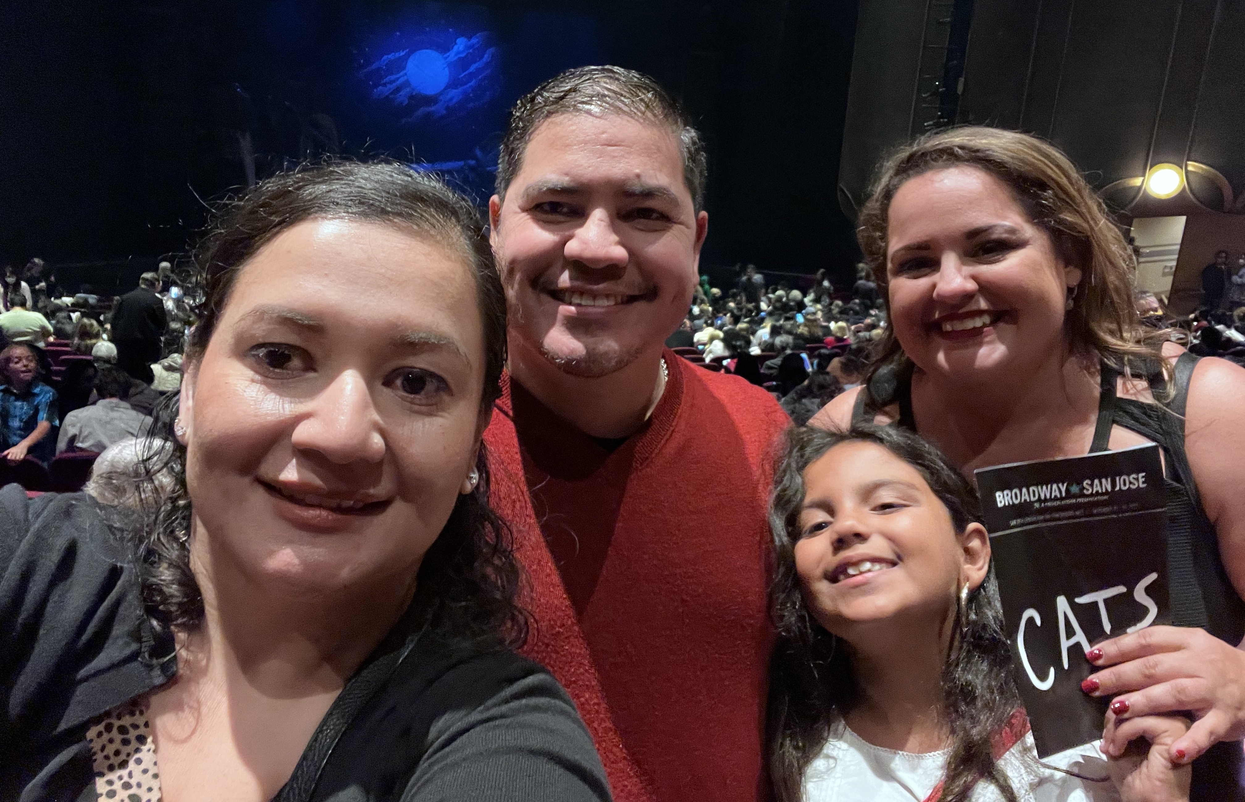 Cats (touring)