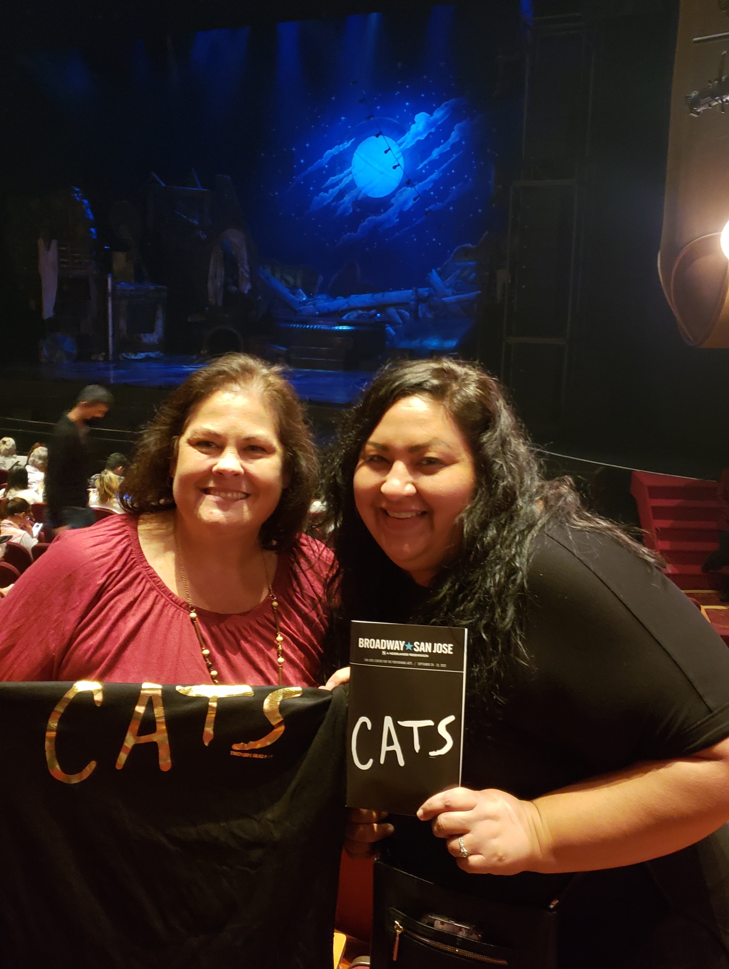Cats (touring)
