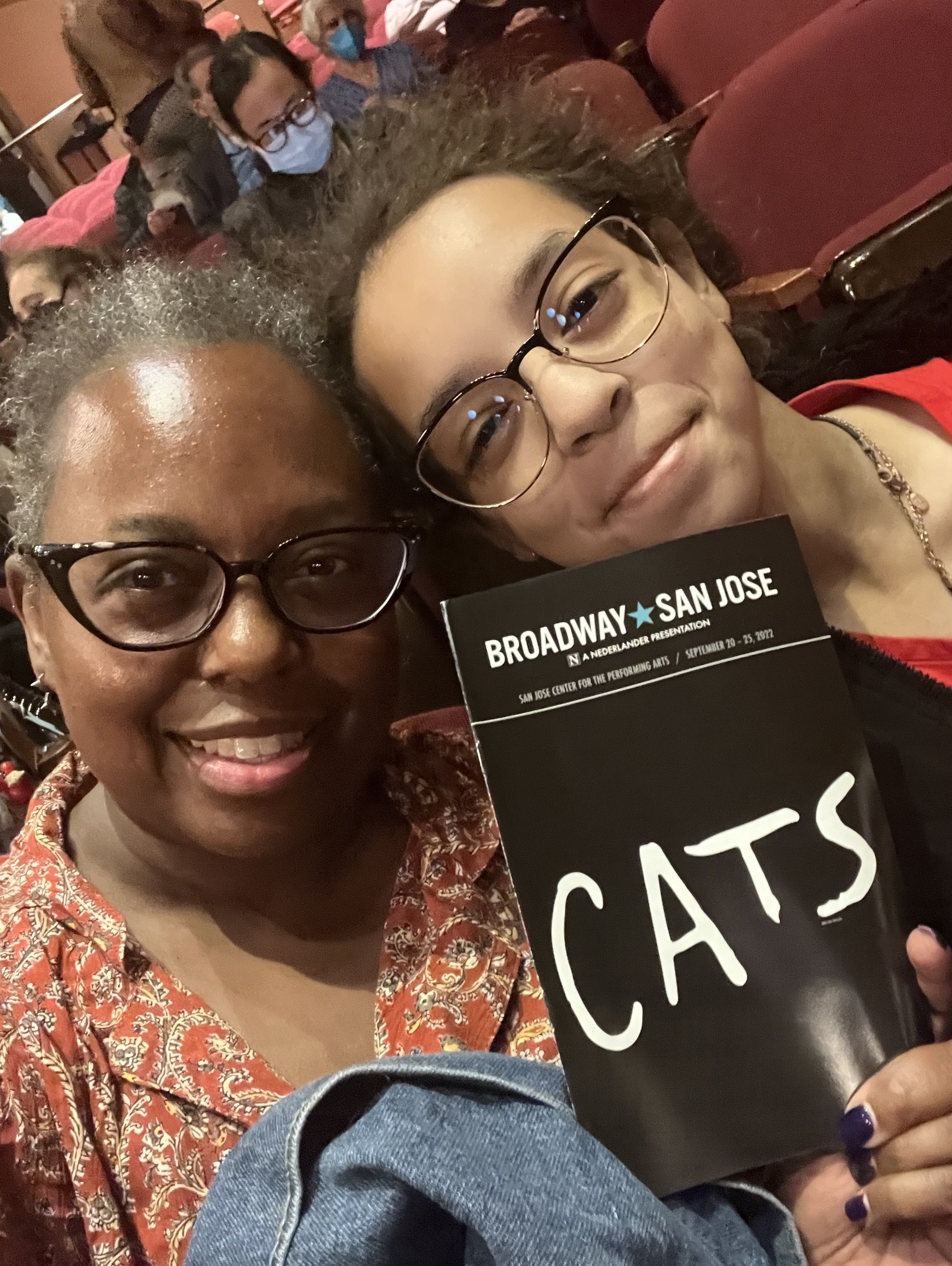 Cats (touring)