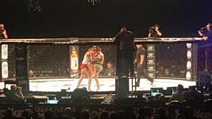 Bellator 161 -  Kongo vs. Johnson - Presented by Bellator - Mixed Martial Arts