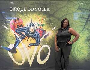 Cirque Du Soleil: Ovo
