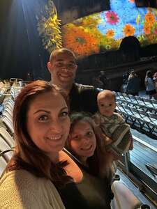 Cirque Du Soleil: Ovo