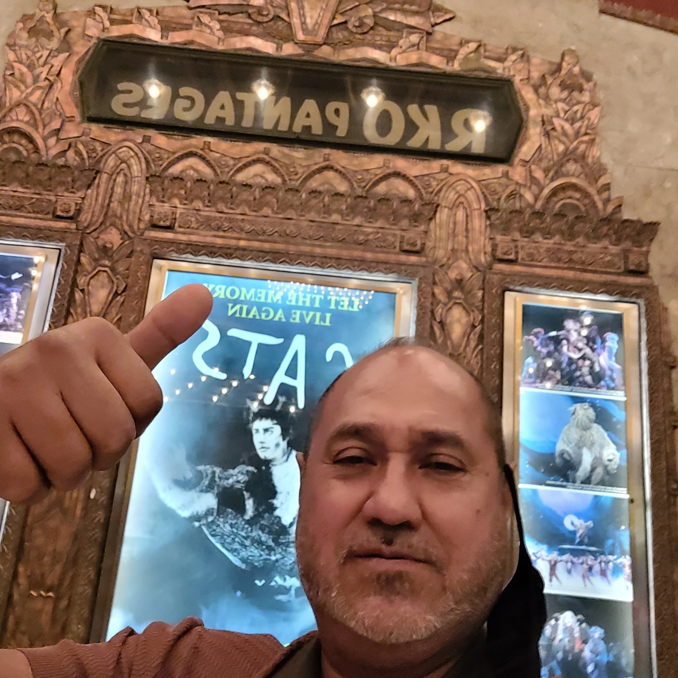 Cats (touring)