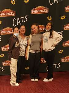 Cats (touring)