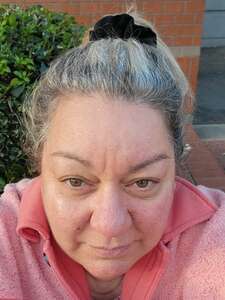 North Carolina State Wolfpack - NCAA Football vs Boston College Eagles