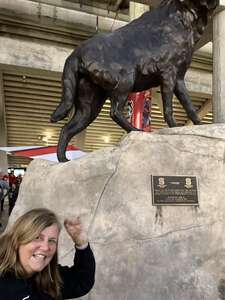 North Carolina State Wolfpack - NCAA Football vs Boston College Eagles