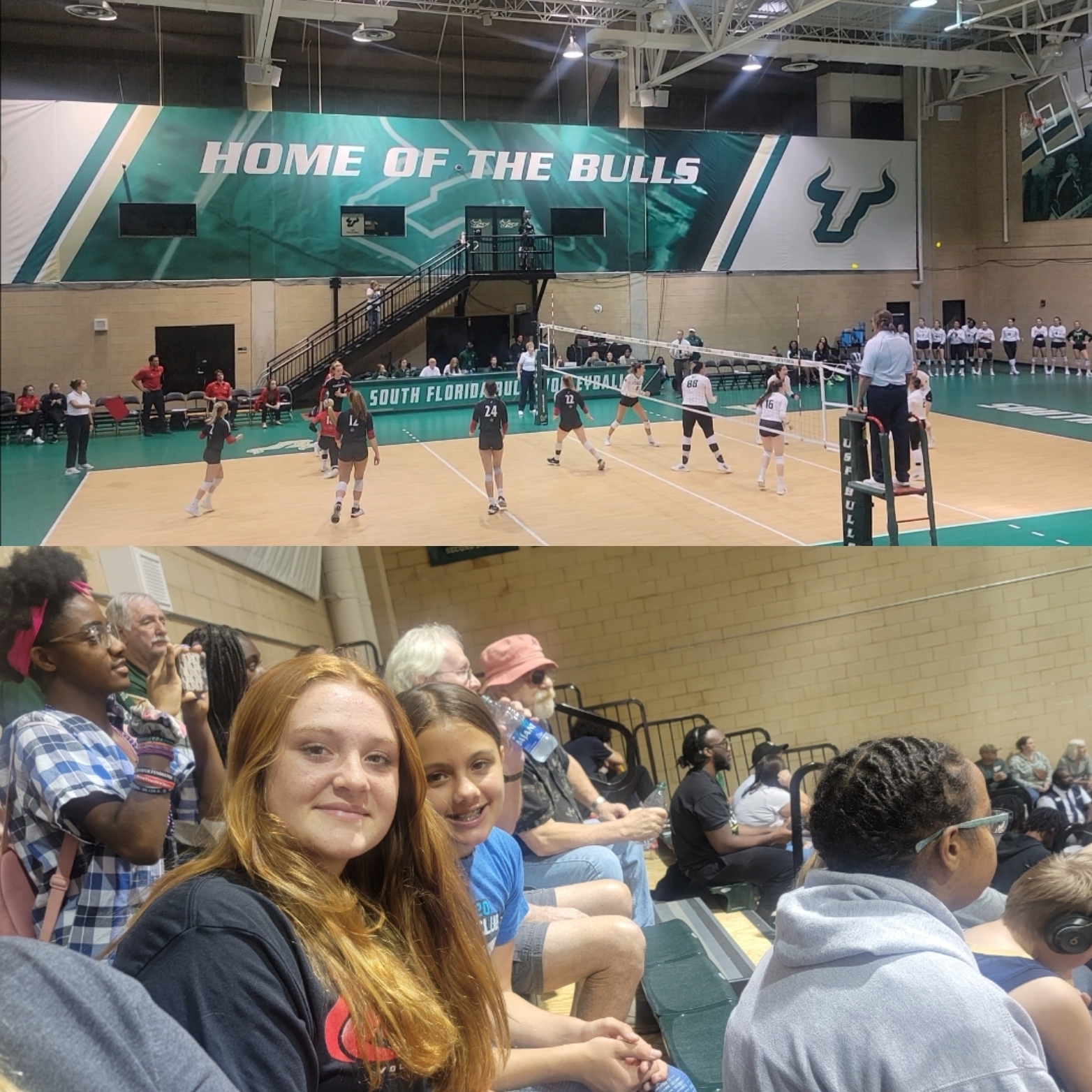 South Florida Bulls - NCAA Women's Volleyball vs Cincinnati Bearcats