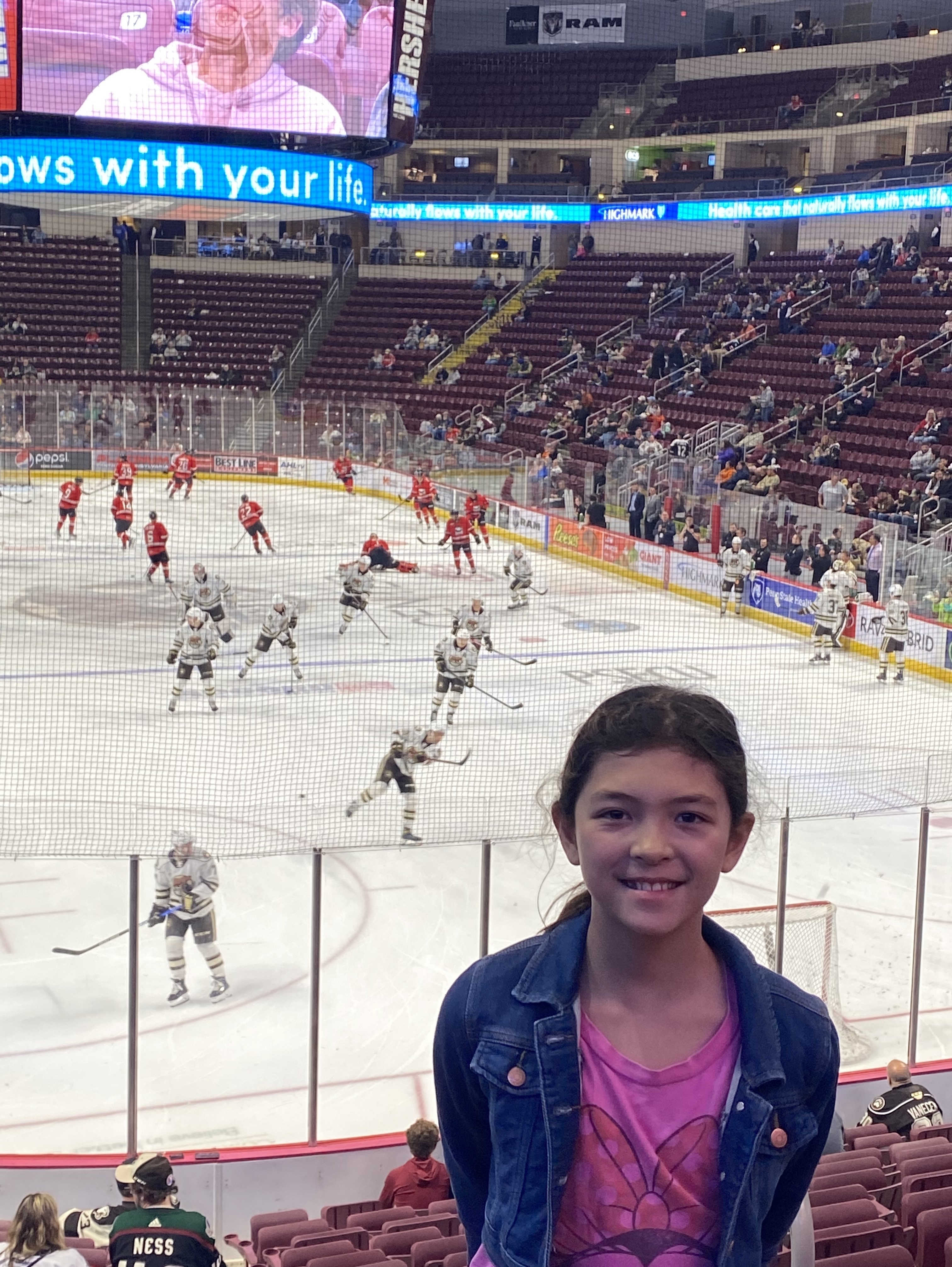 Ways To Participate in The Hershey Bears Pink the Rink Night