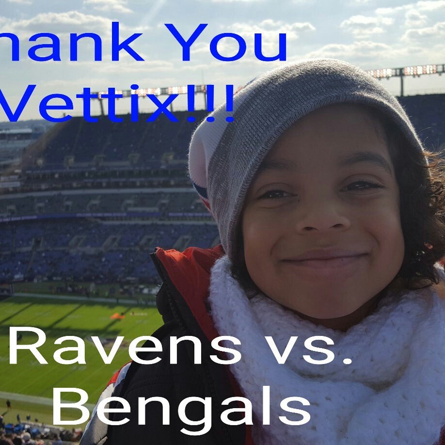 Baltimore Ravens vs. Cincinnati Bengals - NFL