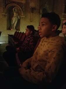 Dragons & Mythical Beasts