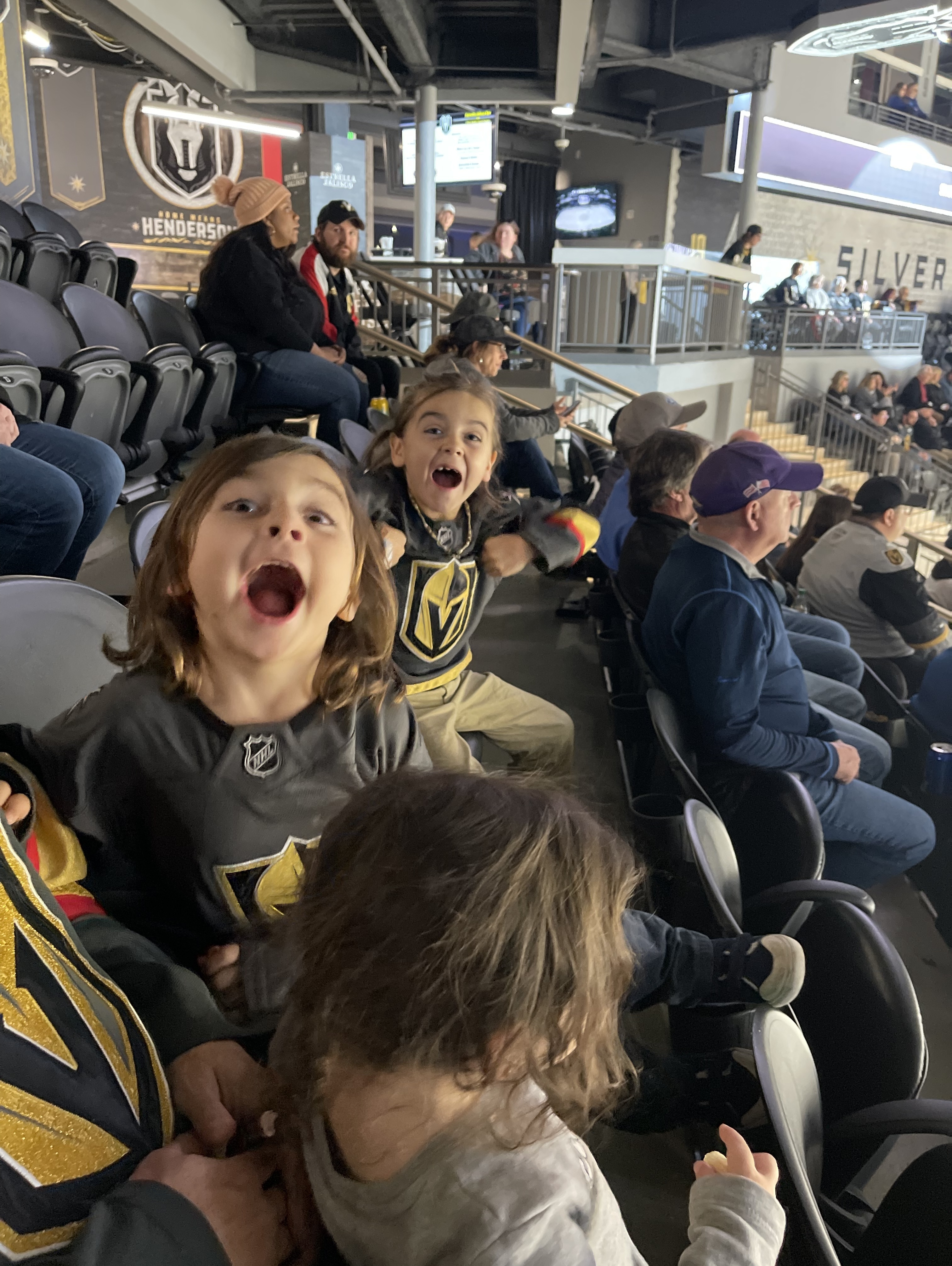 Henderson Silver Knights - AHL vs San Jose Barracuda