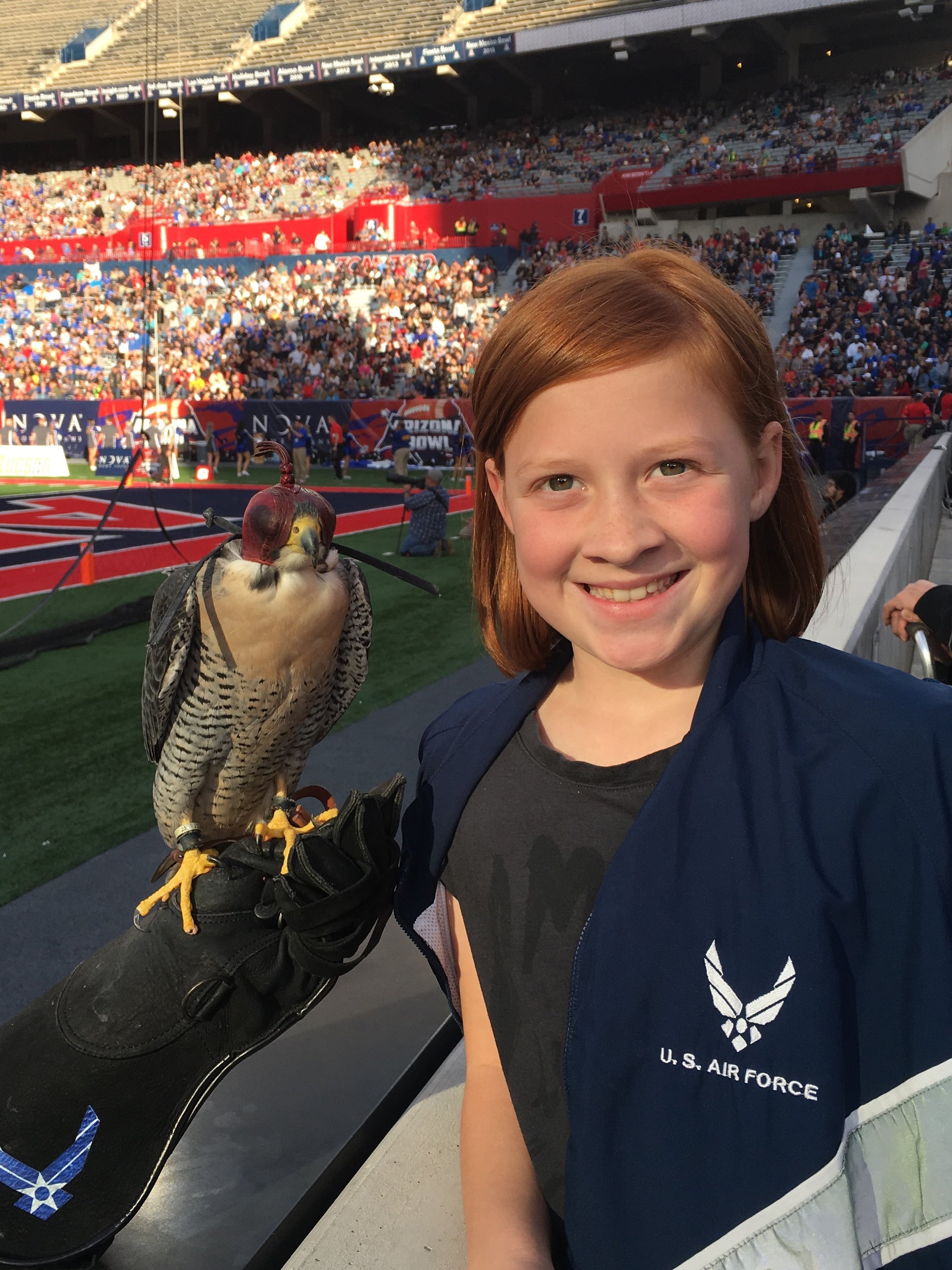 Nova Home Loans Arizona Bowl - Air Force Falcons vs. South Alabama Jaguars - NCAA Football