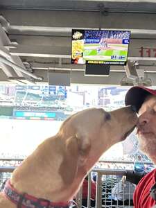 Minnesota Twins - MLB vs Tampa Bay Rays