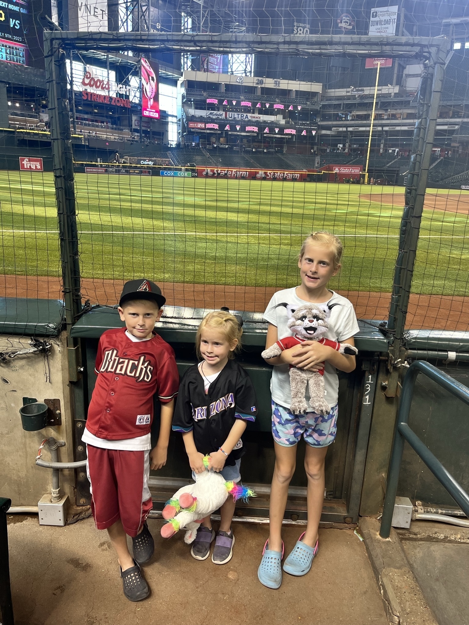 Event Feedback: Arizona Diamondbacks - MLB vs St. Louis Cardinals