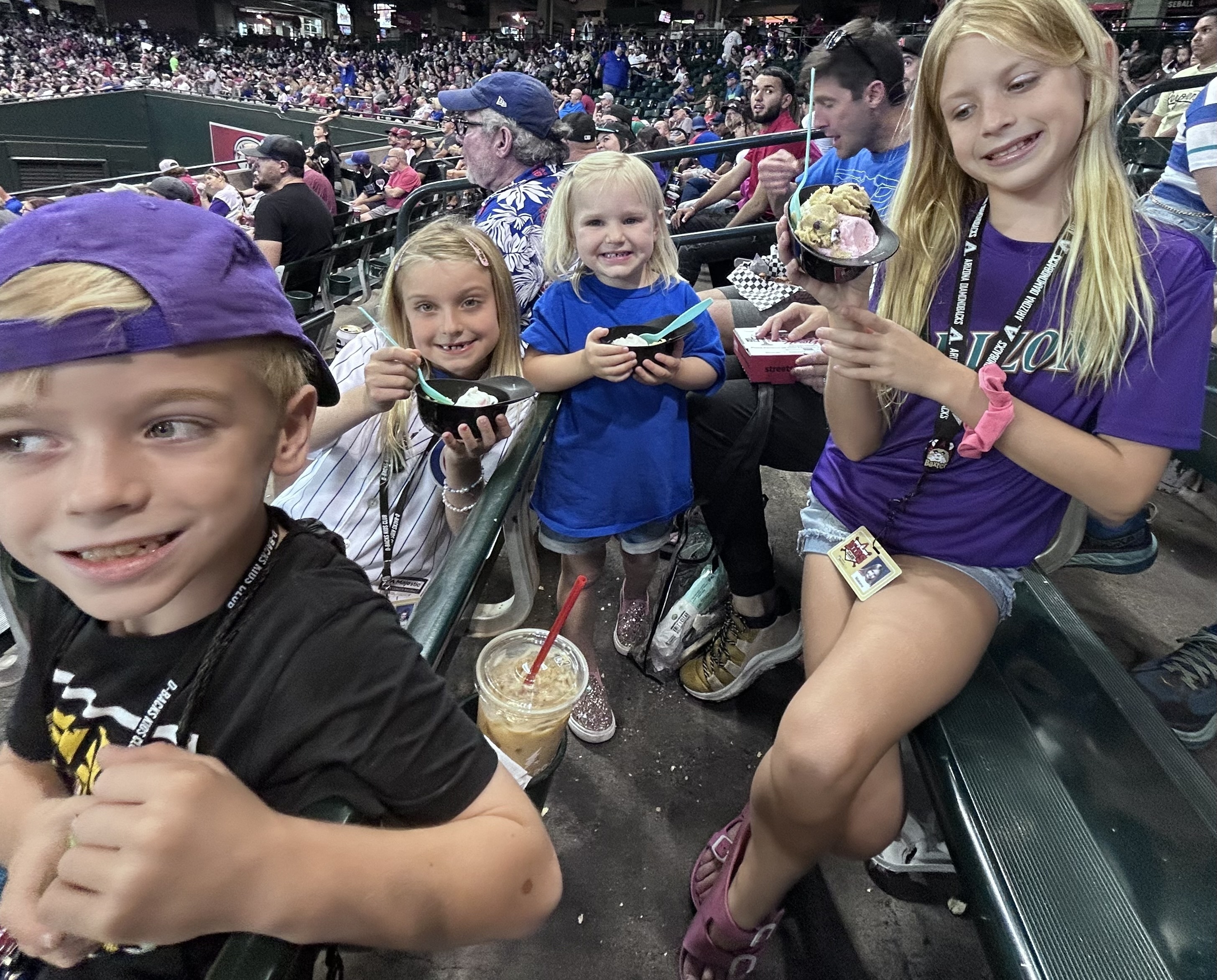 Event Feedback: Arizona Diamondbacks vs. Chicago Cubs - MLB