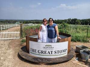 The Grape Stomp in Fredericksburg