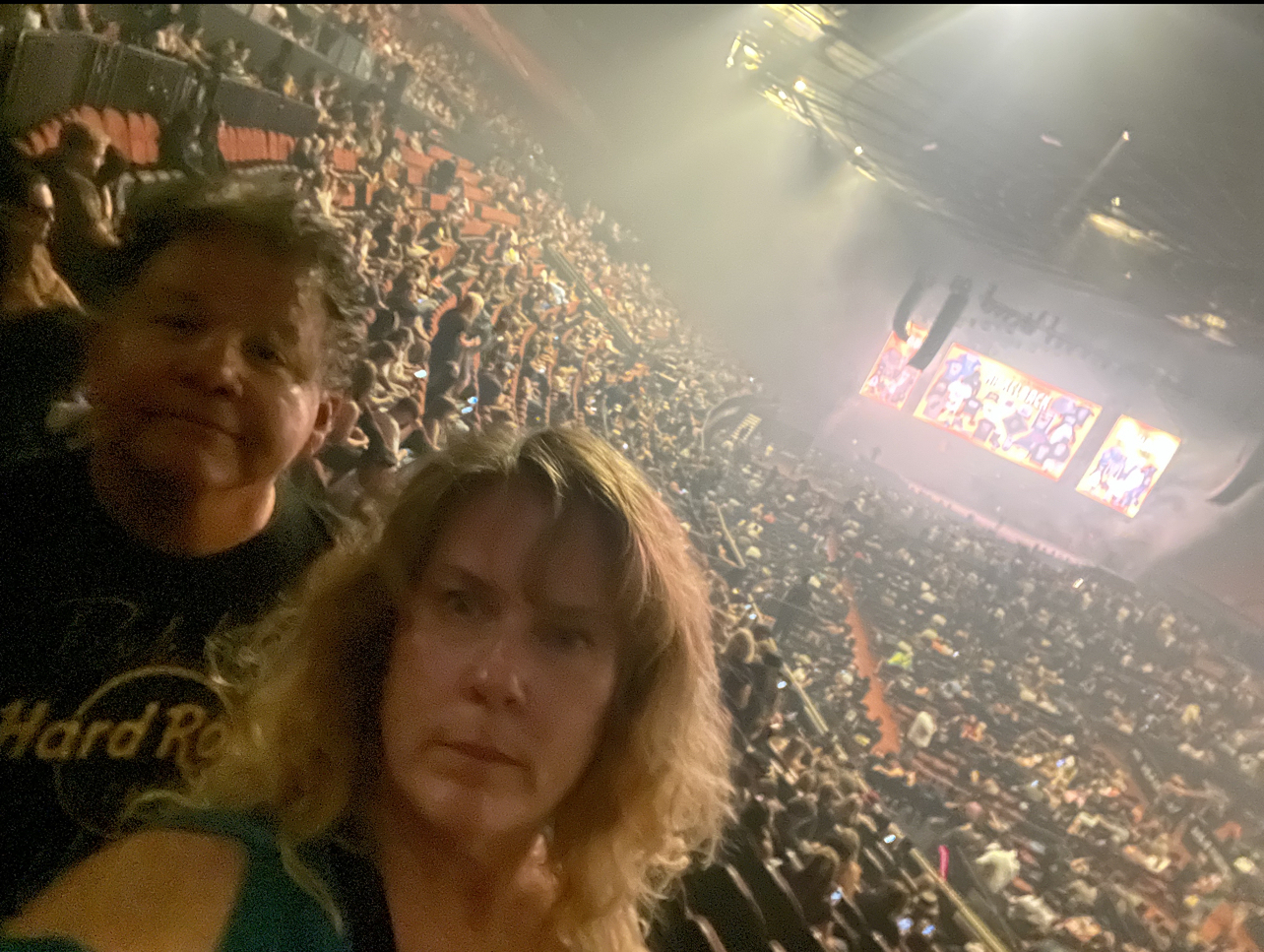Nickelback: Get Rollin' Tour