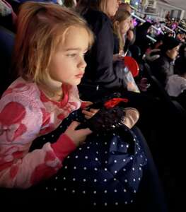 Disney on Ice Presents Find Your Hero