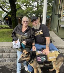 Shinedown: Revolutions Live