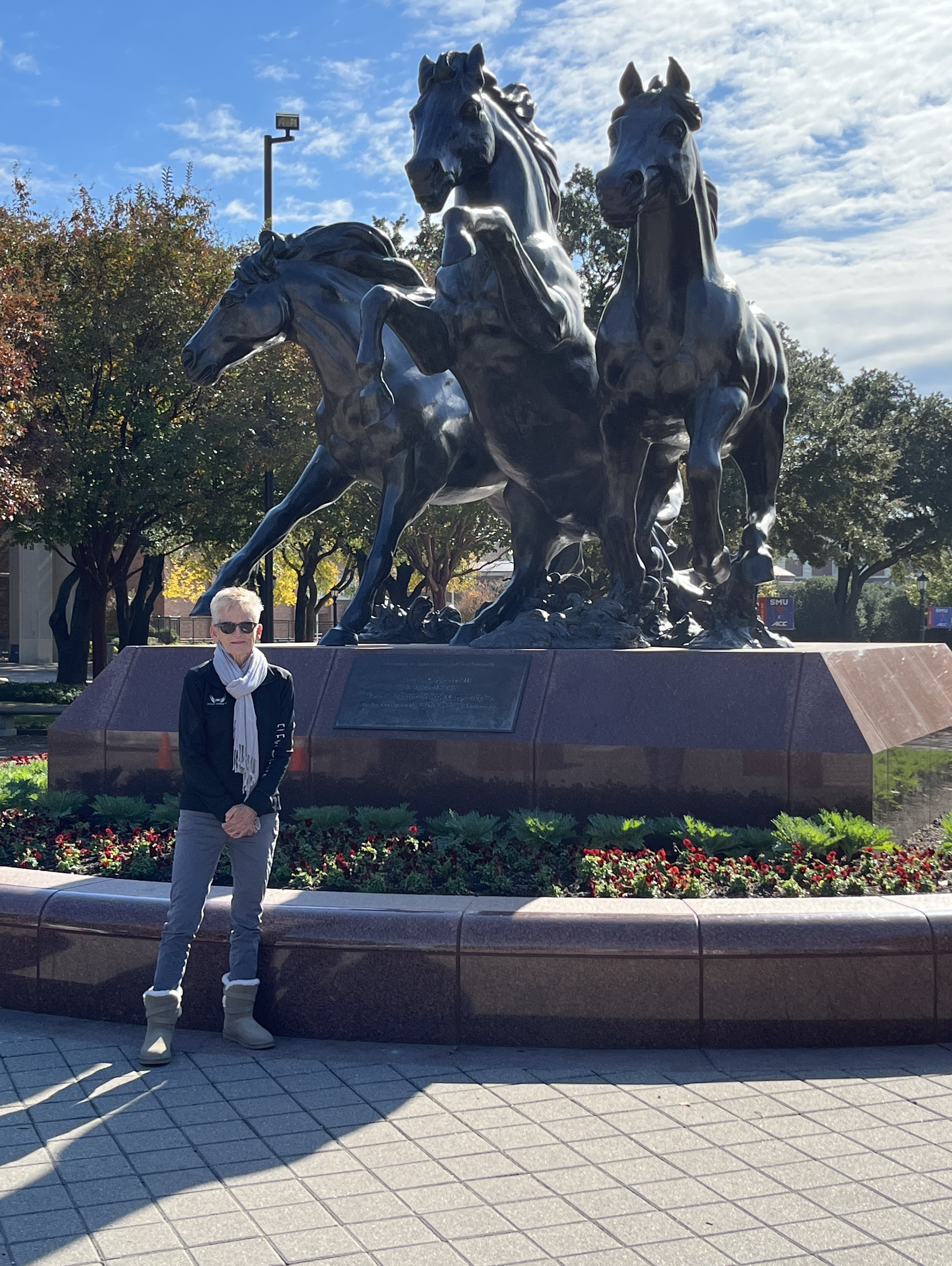 Southern Methodist University Mustangs - NCAA Football vs Navy Midshipmen