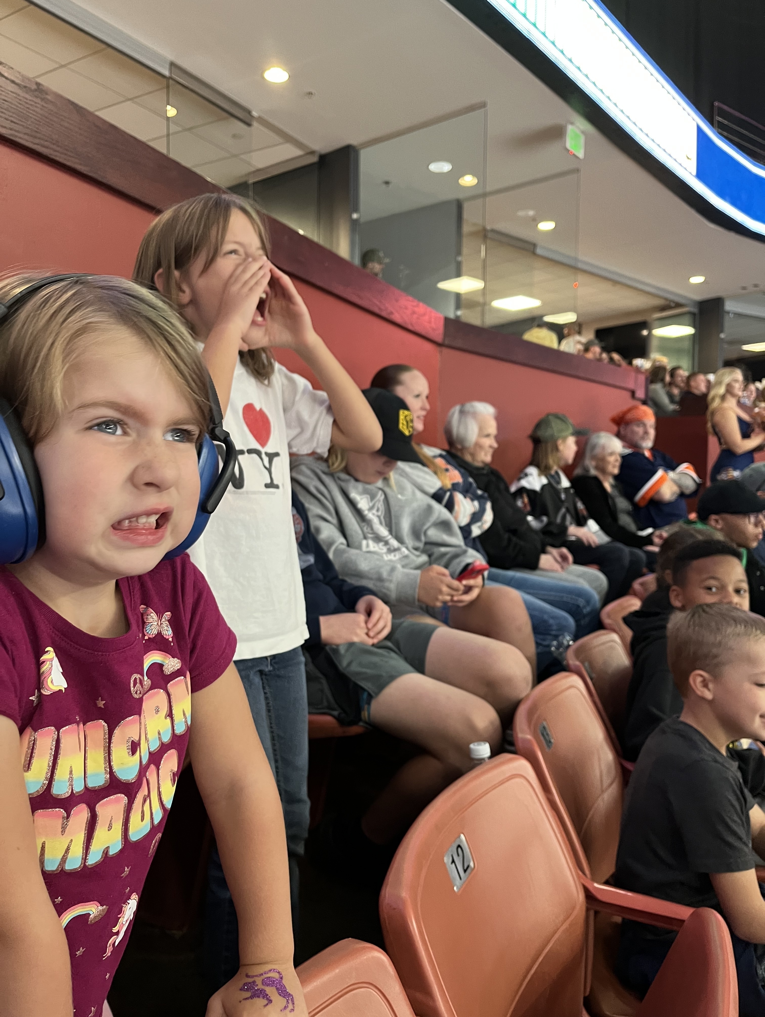 Greenville Swamp Rabbits - ECHL vs Norfolk Admirals