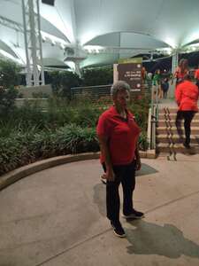 Majic Under the Stars