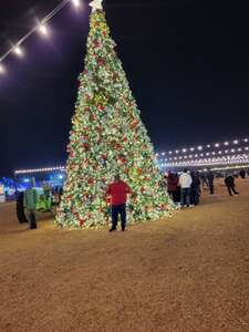 Desert Farm Lights